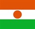 Nijer Bayrağı (20x30)