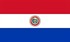 Paraguay Bayrağı (20x30)