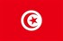 Tunus Bayrağı (20x30)