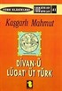 Kaşgarlı Mahmut / Divani Lügatit Türk