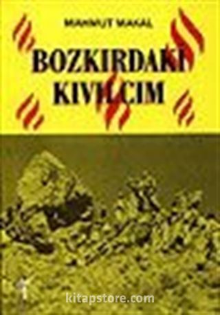 Bozkırdaki Kıvılcım