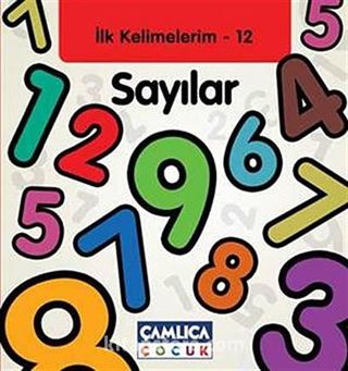 Sayılar / İlk Kelimelerim -12