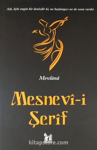 Mesnevi - İlahi Aşkı