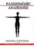 Pandomimin Anatomisi/Pandomimin Temel Kuralları