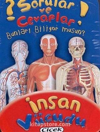 İnsan Vücudu (Kart) / Sorular ve Cevaplar Dizisi 3