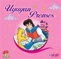 Uyuyan Prenses (6 parça Yap-Boz+Hikaye)