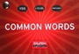 Common Words / YDS-LYS-Dil Proficiency
