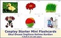 Cosplay Starter Mini Flashcards - Okul Öncesi İngilizce Mini Kelime Kartları (40 adet) (7,0x9,5)