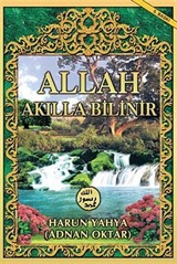 Allah Akılla Bilinir