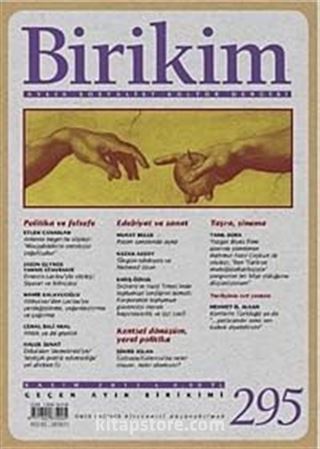 Birikim / Sayı:295 Yıl: 2013 / Aylık Sosyalist Kültür Dergisi