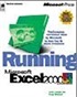 Runing Microsoft Excel 2000