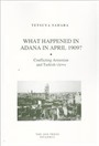 What Happened in Adana in April 1909?