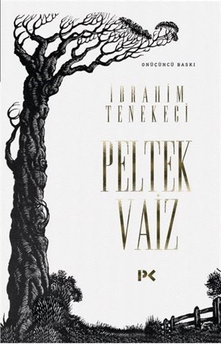 Peltek Vaiz