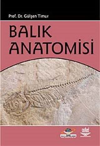 Balık Anatomisi