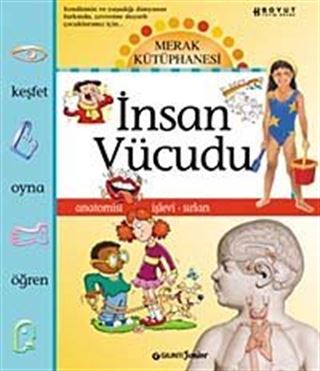 İnsan Vücudu