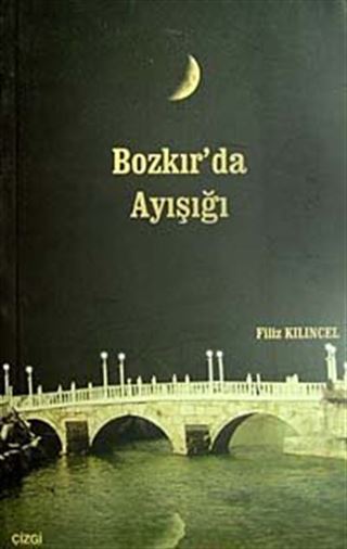 Bozkır'da Ayışığı