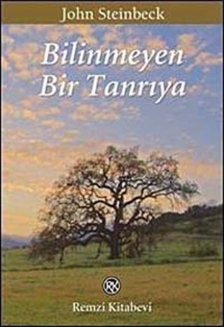 Bilinmeyen Bir Tanrıya