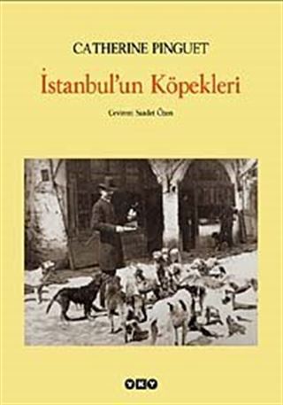 İstanbul'un Köpekleri