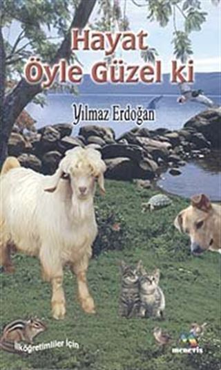 Hayat Öyle Güzel ki