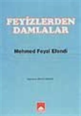 Feyizlerden Damlalar/ Mehmed Feyzi Efendi