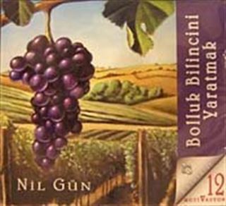 Bolluk Bilincini Yaratmak (Cd)