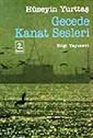 Gecede Kanat Sesleri