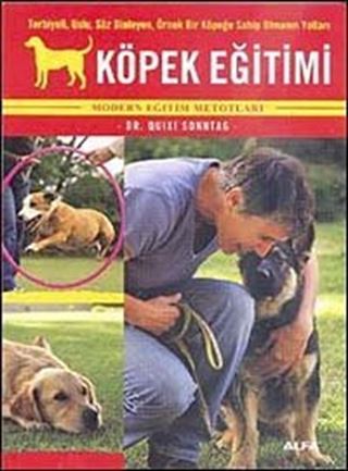Köpek Eğitimi