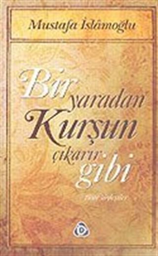 Bir Yaradan Kurşun Çıkarır Gibi / Tüm Söyleşiler