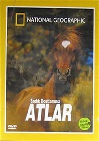 Atlar Sadık Dostlarımız (DVD)