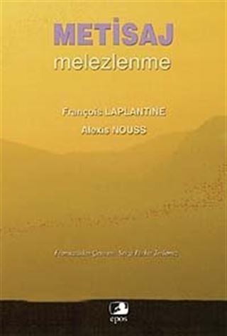 Metisaj