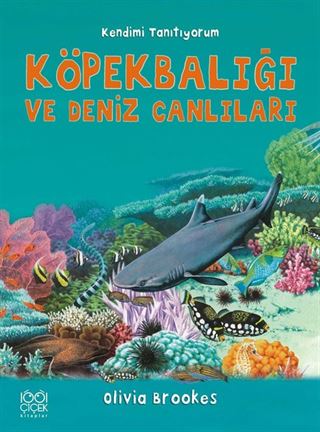 Köpekbalığı ve Deniz Canlılarına Soralım
