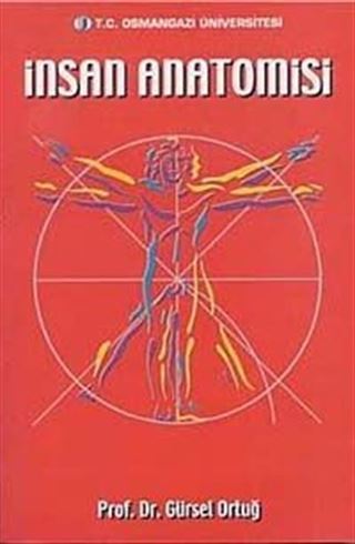 İnsan Anatomisi