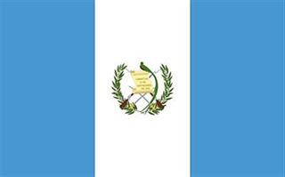 Guatemala Bayrağı (20x30)