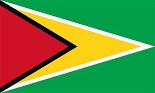 Guyana Bayrağı (70x105)