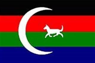 Gökçay-Zangezur Türkleri (Ermenistan) Bayrağı (70x105)