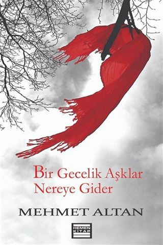 Bir Gecelik Aşklar Nereye Gider