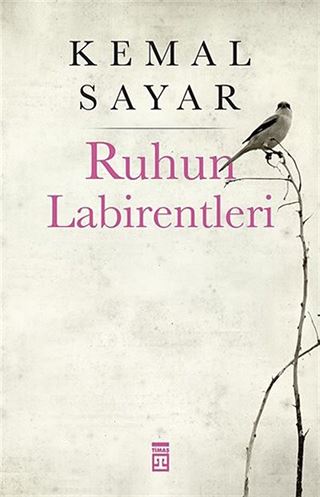 Ruhun Labirentleri
