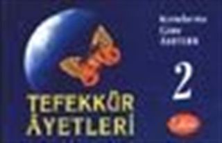 Tefekkür Ayetleri / Konularına Göre Ayetler 2 (Kutulu Kartlar)