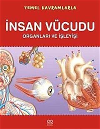 Temel Kavramlarla İnsan Vücudu Organları ve İşleyişi
