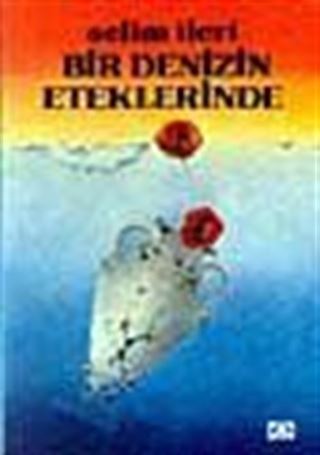 Bir Denizin Eteklerinde