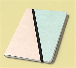 Salmon - Turquoise