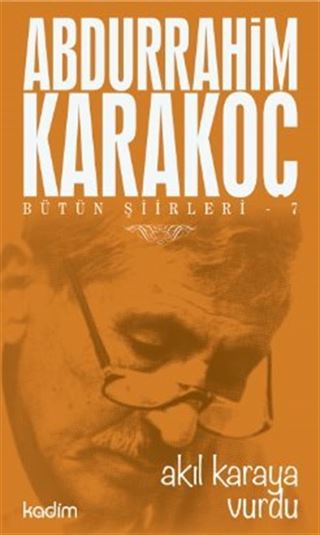 Akıl Karaya Vurdu / Bütün Şiirleri 7