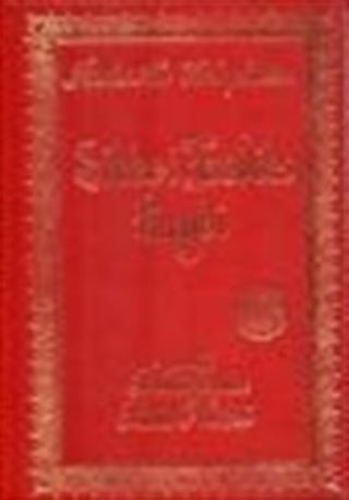 Sikke-i Tasdik-ı Gaybi (büyük boy sırtı deri bez ciltli)