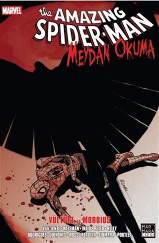 The Amazing Spider-Man / Meydan Okuma