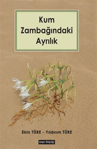 Kum Zambağındaki Ayrılık