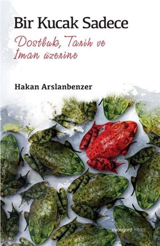 Bir Kucak Sadece