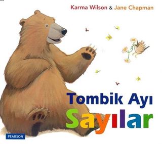 Tombik Ayı / Sayılar