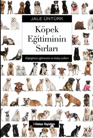 Köpek Eğitiminin Sırları