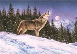A Wolf'S Song To The Moon 1000 Parça Puzzle (Kod:40939)
