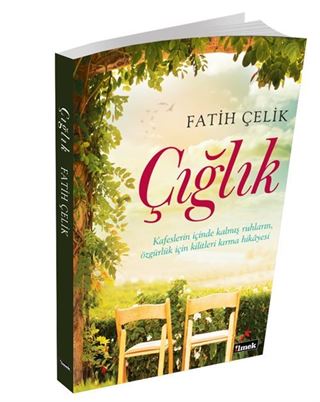 Çığlık